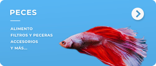 Peces